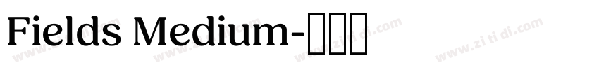 Fields Medium字体转换
